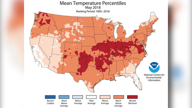 Temperaturas de mayo en Estados Unidos rompen récord, superando la media por casi 3 grados