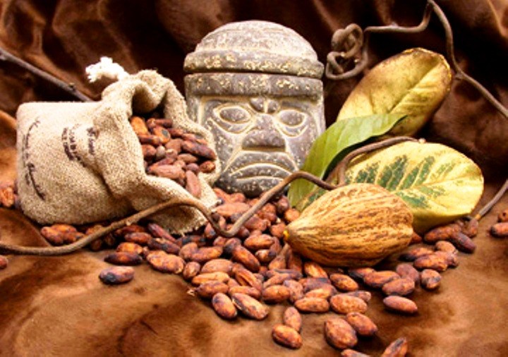 Los mayas usaban el cacao como moneda