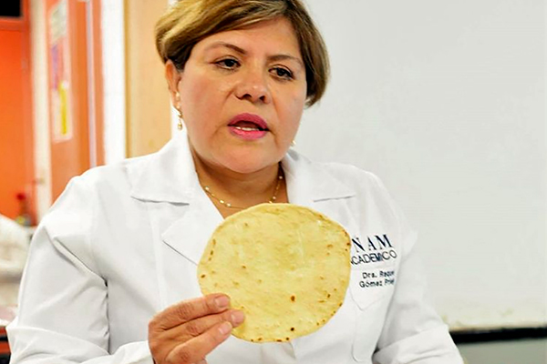 Logra científica mexicana tortillas de harina que no engordan contra desnutrición, obesidad y diabetes