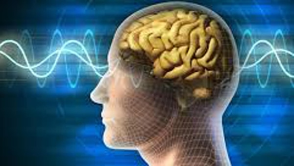 Científicos diseñan sustancias capaces de aumentar la memoria en el cerebro