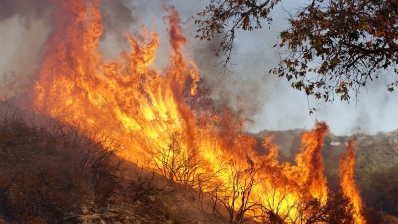 Videos: Demanda a Southern California Edison por responsabilidad en el peor incendio de California