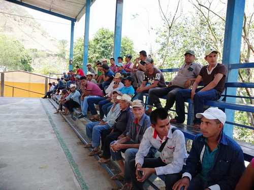 Productores de amapola de Guerrero amenazan con derribar helicópteros militares si fumigan sus sembradíos