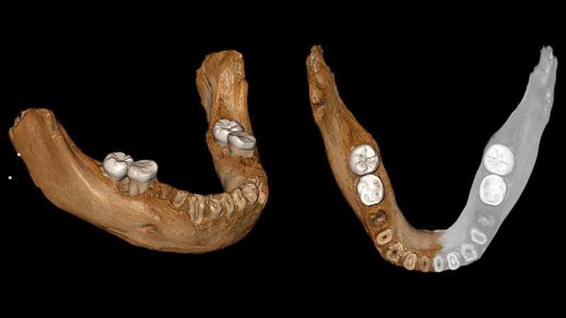 Hito arqueológico: Identifican un antepasado humano de hace 160.000 años hallado en el Tíbet