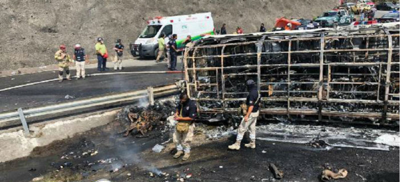 Tráiler y autobús de turismo chocan en carretera Puebla-Veracruz; 21 muertos