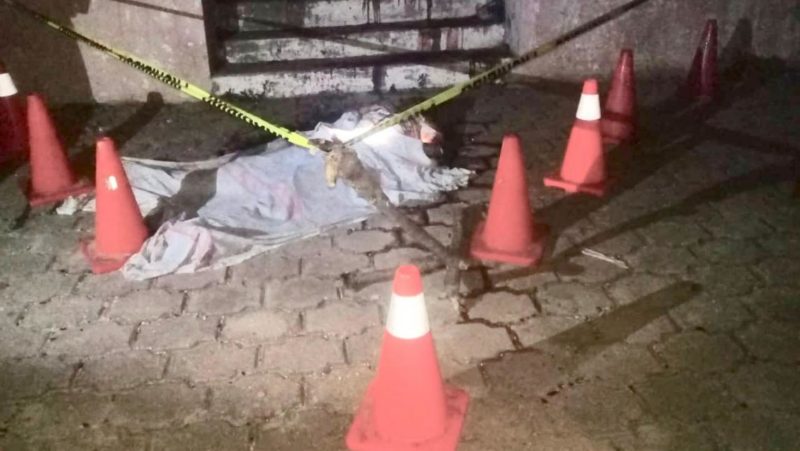 Balacera en Santo Domingo Petapa, Oaxaca, deja 7 muertos