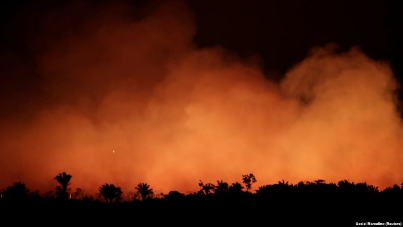 Videos: El Amazonas arde y el mundo pide acciones para salvar  al “pulmón” del planeta