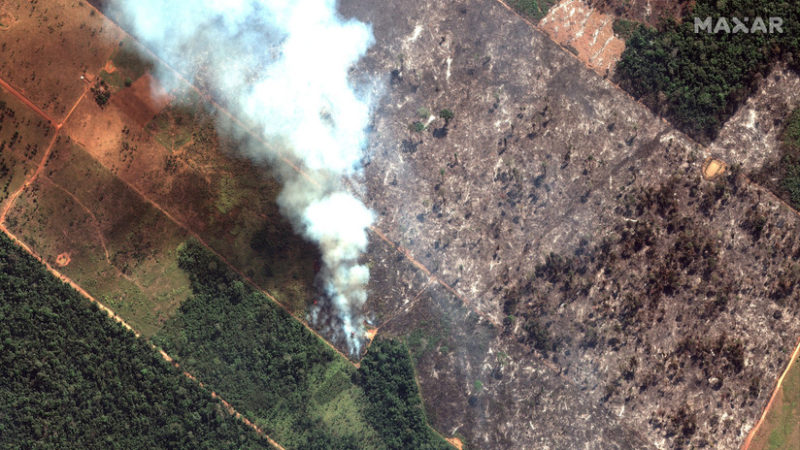 Videos: Casi 20 días después de iniciados los incendios en la Amazonia, Bolsonaro sopesa enviar al Ejército para ayudar a extinguirlos; “Que se vaya”, claman en Europa