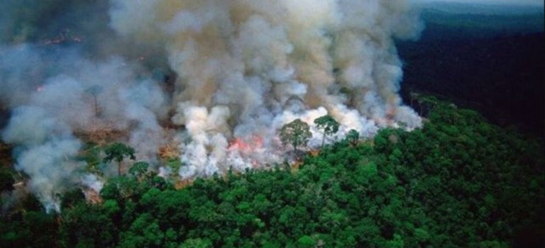 Amazonia, “pulmón del mundo”, lleva tres semanas en llamas; rompe récord