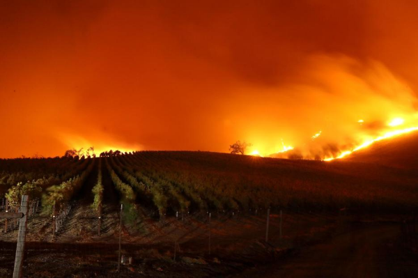 Nuevo incendio, Getty, avanza rápidamente en Los Ángeles; ya ha consumido 400 acres