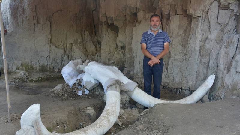 Videos: Arqueólogos descubren en México una de las primeras trampas artificiales de mamuts en el mundo
