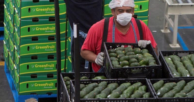 El comercio agroalimentario México-EU creció 6% en 2019; las estrellas: cerveza, aguacate, tomate, tequila y frutas