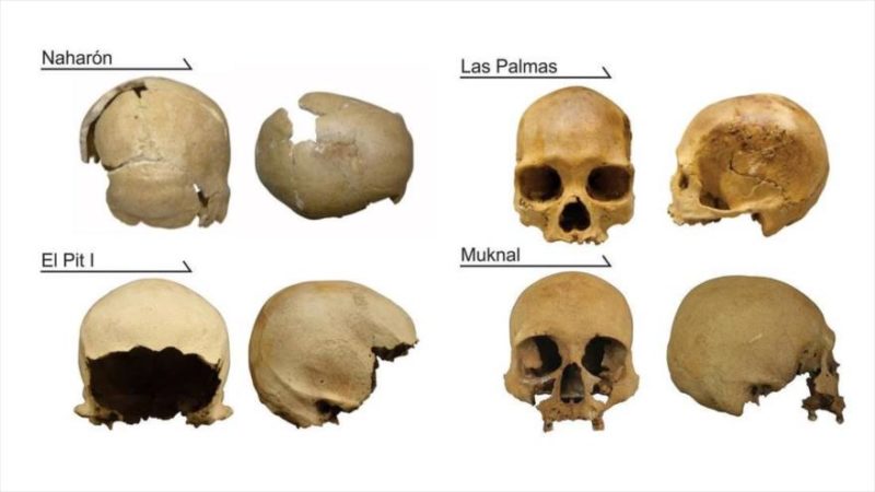 Cráneos encontrados en Quintana Roo , de hasta 11 700 años de antigüedad, evidencian rasgos de diferentes partes del mundo