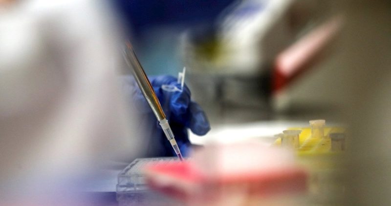 Vacuna israelí pasa con éxito la prueba en roedores y China dice que ya empezó fase con humanos
