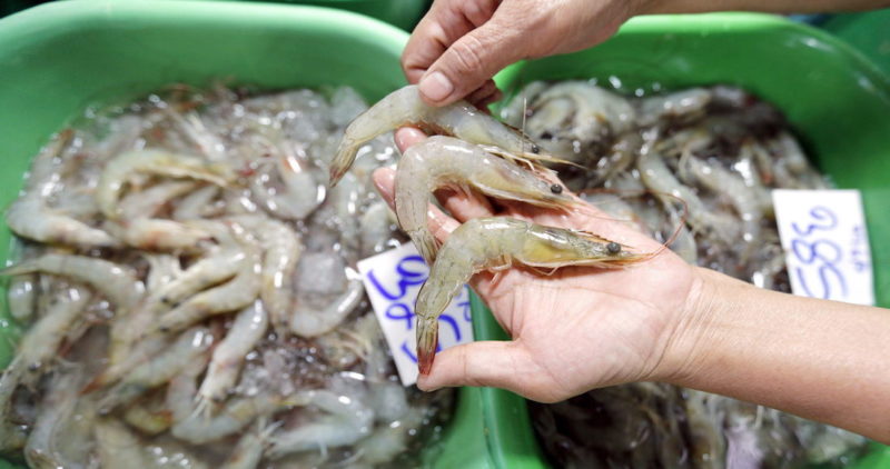 Cuidado: China encontró en el camarón rastros de SARS-CoV-2. Y México consume y exporta fuerte