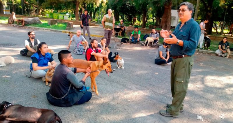 Universidad argentina inicia proyecto con el olfato canino para la detección temprana de COVID-19