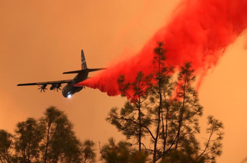 Más de 300 fallecidos en los incendios forestales en los últimos 80 años