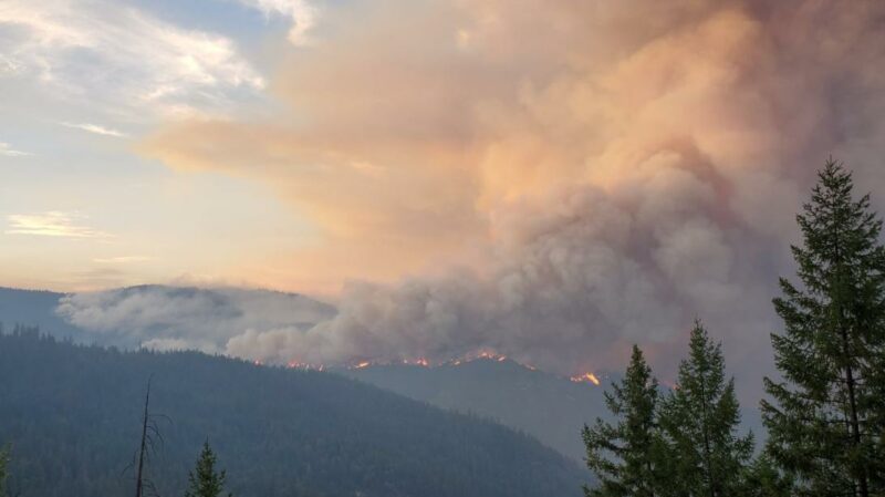 Estos son los incendios forestales más grandes en la historia de California