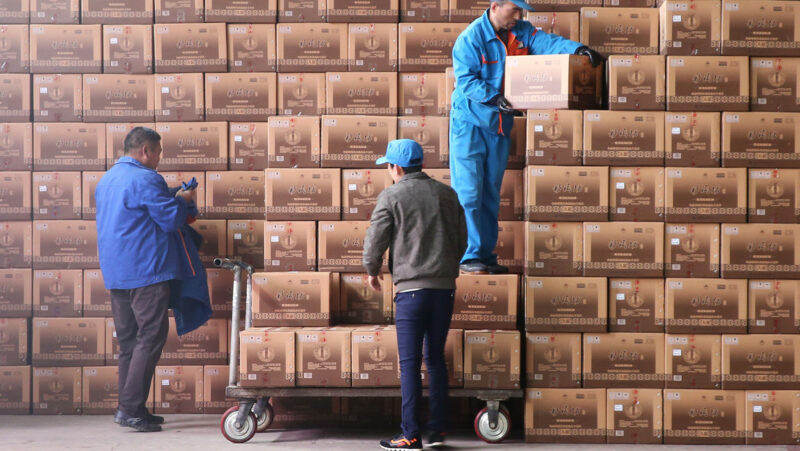 Encuentran más de 5.000 perros, gatos, conejos y otras mascotas muertas en cajas en un depósito de logística en China