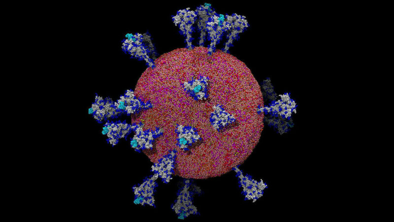 Imágenes detalladas de la estructura del SARS-CoV-2 ayudaron a entender cómo el virus ataca a las células