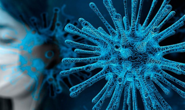 Los oscuros orígenes del virus