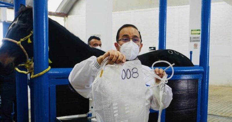 Gracias a Máximo y Cayetano, México tiene ya los primeros sueros contra el SARS-CoV-2