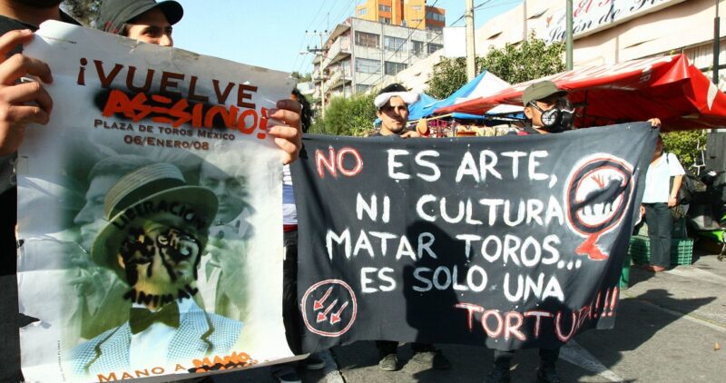 Video: La prohibición de corridas de toros en Ciudad de México avanza en comisiones del Congreso local