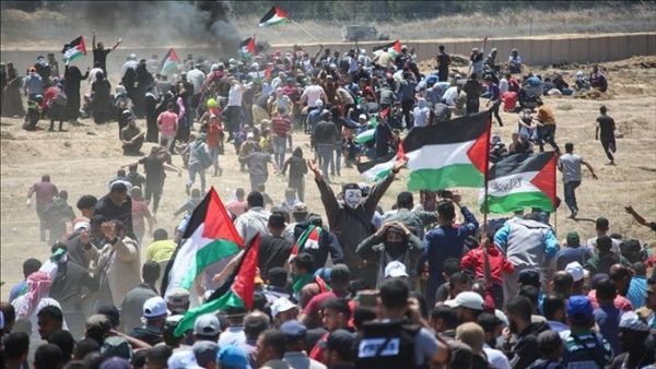 Palestina insta a la ONU a detener crímenes israelíes