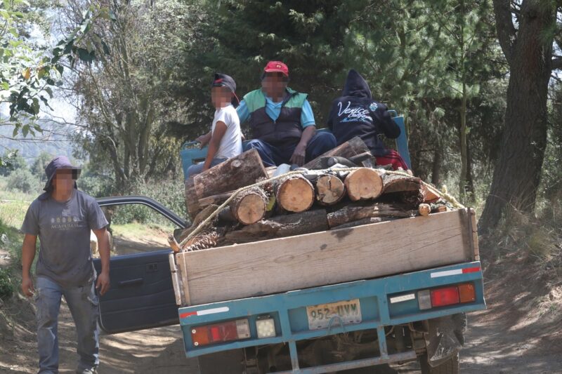 Edomex: acapara el crimen organizado el 30% de la producción forestal