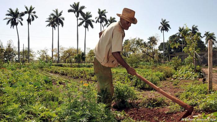 Empresarios agropecuarios de EU proponen aumentar el comercio y la transferencia tecnológica con Cuba