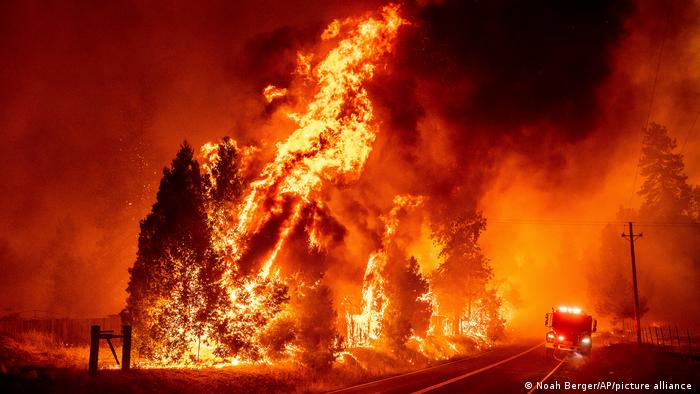 Videos: Incendio de Oak ya es el más grande de Calfornia en este año. Evacúan a miles cerca del parque Yosemite