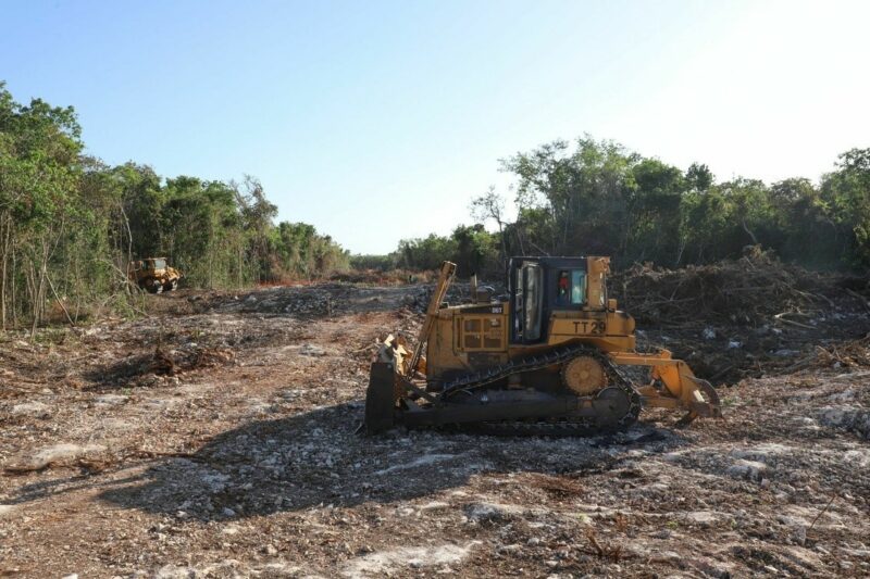 Emite gobierno federal decreto para expropiar predios en Quintana Roo para el Tren Maya