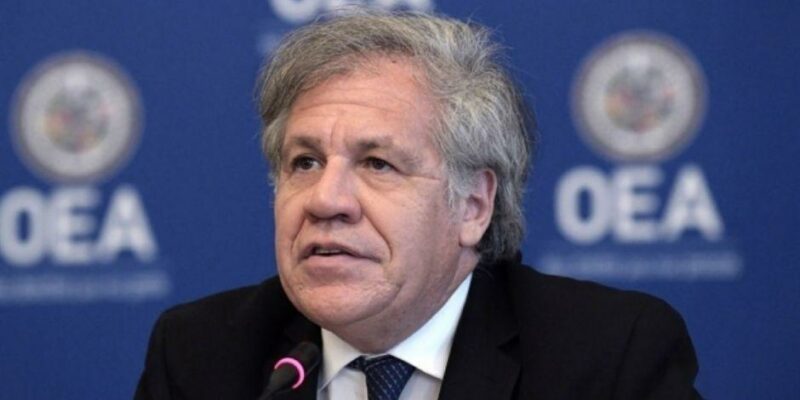 AMLO critica que ONU y OEA “cuestan mucho y no dan resultados”; llama a “reformarlos”