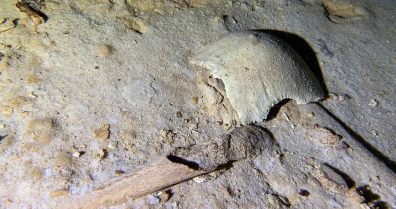 Videos: Arqueólogos hallan un esqueleto de 8 mil años en un cenote cerca del Tren Maya
