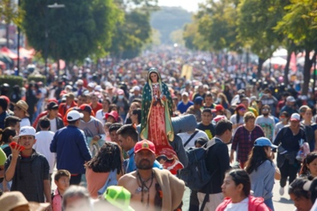 Videos: Más de 3 millones han visitado a la Guadalupana