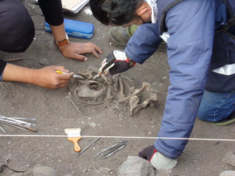 Hallan 16 entierros humanos que datan de hace 5 mil 500 años en Baja California
