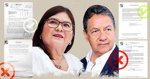 Video: Las CARTAS de senadores Imelda Castro e Higinio Martínez a la Cámara Alta: exigen investigar por qué usaron sus nombres en firmas falsas para libros de Monreal