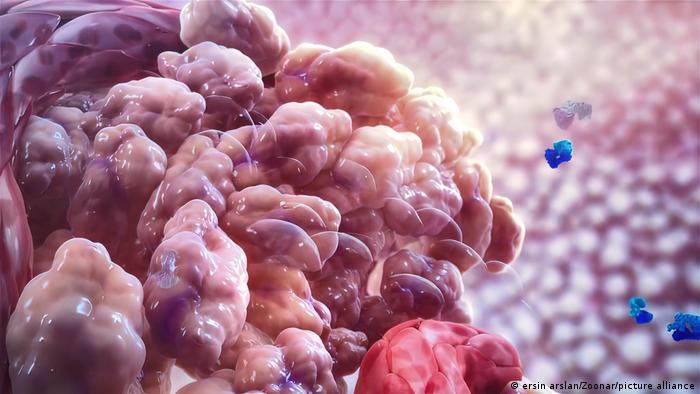 La cura universal del cáncer nunca podría llegar, según amplio estudio