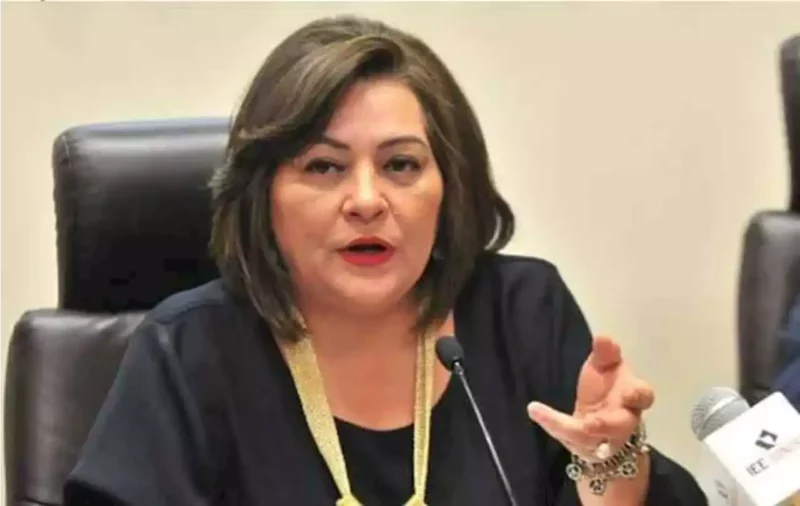 Video: La nueva Consejera Presidenta del INE, Guadalupe Taddei Zavala, anuncia que acata la Constitución y ganará menos que el presidente López Obrador