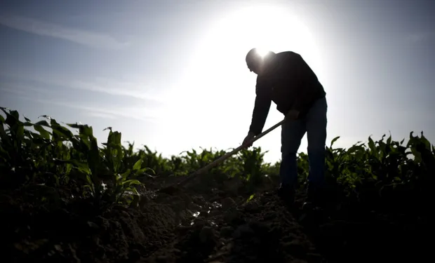 El Departamento de Educación de California respalda a campesinos que laboran en temperaturas extremas