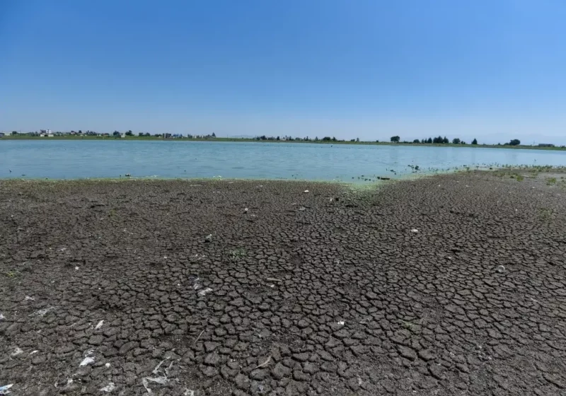 Hay sequía en el 61.59 por ciento del territorio mexicano. Aumentó de moderada a excepcional en la primera quincena de enero al iniciarse el estiaje, informa Conagua