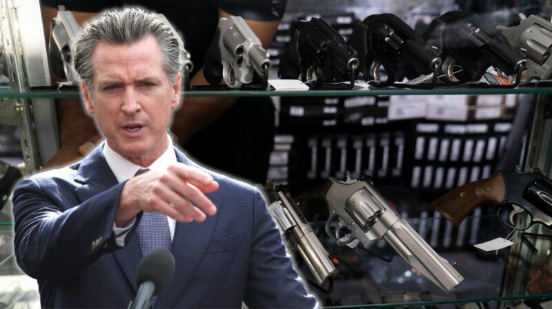 California inicia 2024 con nuevas leyes sobre armas, dinero por reciclaje y mascotas